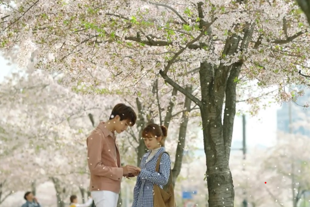  New Romance Kdrama 'Cherry Blossom Love' Sweeps Spring 2024